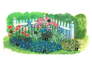 Sunny Corner Bed - Perennial Gardening